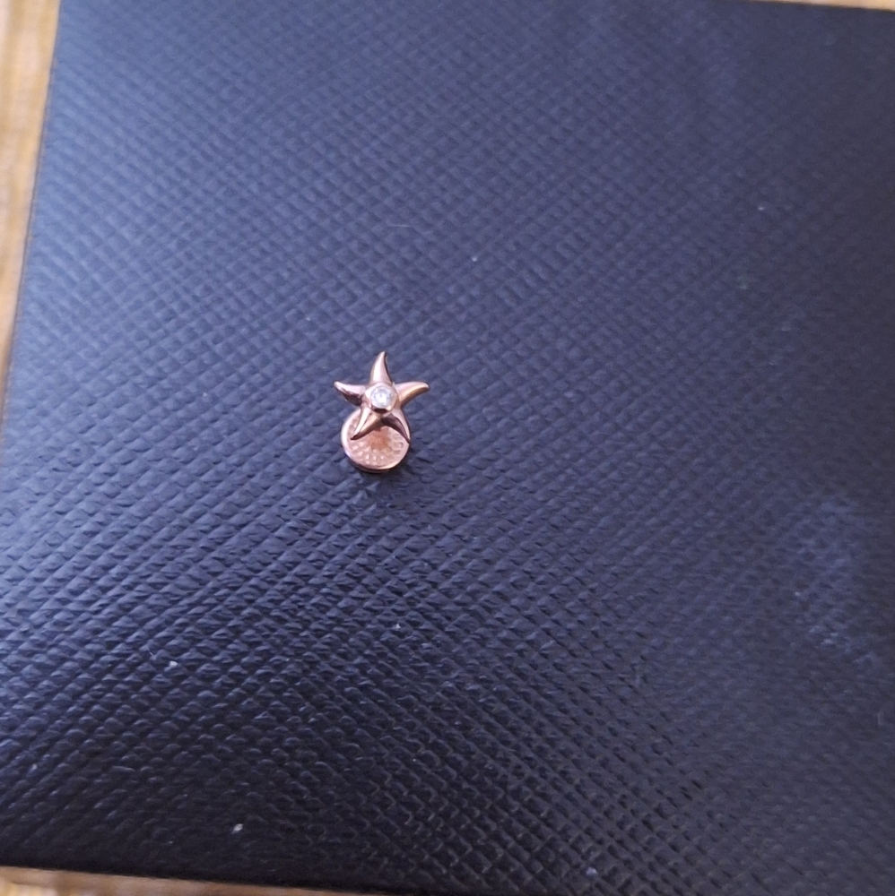 14k solid rose gold sea star 🌟 tragus piercing 8 Gauge Screw In Back Stamped